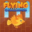 flying-challenge