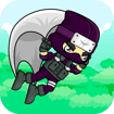 flying-ninja