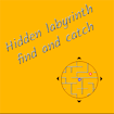 hidden-labyrinth-find-and-catch