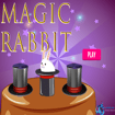 magic-rabbit