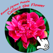 round-jigsaw-puzzle-collect-the-flower