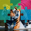 tiger-jigsaw-image-challenge